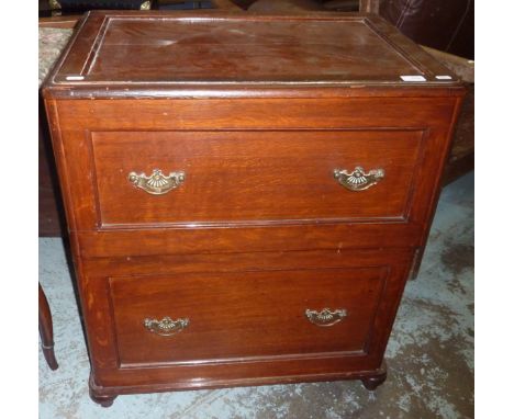 Mahogany cased commode in the form of 2 drawer chest