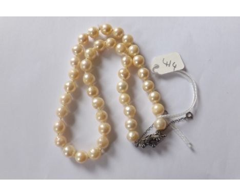 Pearl choker set with 14ct. clasp     