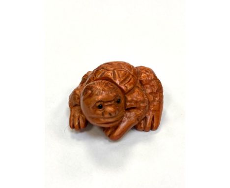 A Japanese carved fruitwood netsuke - Giant turtle. 