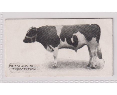 Cigarette card, Taddy, Famous Horses &amp; Cattle, type card, no 6, Friesland Bull, 'Expectation' (vg) (1)