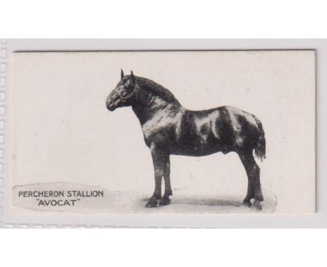 Cigarette card, Taddy, Famous Horses &amp; Cattle, type card, no 25, Percheron Stallion, 'Avocat' (ex) (1)