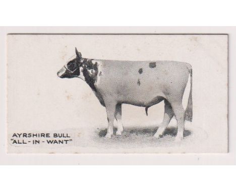 Cigarette card, Taddy, Famous Horses &amp; Cattle, type card, no 14, Ayrshire Bull, 'All-In-Want' (slight foxing, gd) (1)