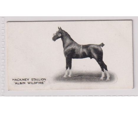 Cigarette card, Taddy, Famous Horses &amp; Cattle, type card, no 30, Hackney Stallion, 'Albin Wildfire' (vg) (1)