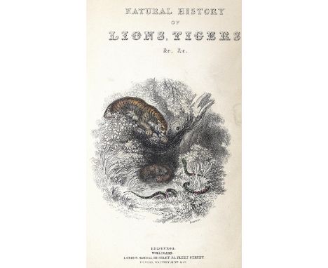 Jardine,W.: The Natural History of the Felinae. Edinburgh, Lizars 1834. Mit gest. Portrait, gest. Titel u. 36 kolor. Stahlst.