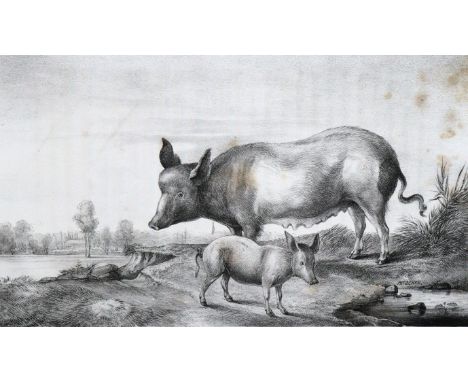 Speck von Sternburg,M.v.: Landwirthschaftliche Beschreibung des Ritterguts Lützschena bei Leipzig, mit seinen Gewerbszweigen.