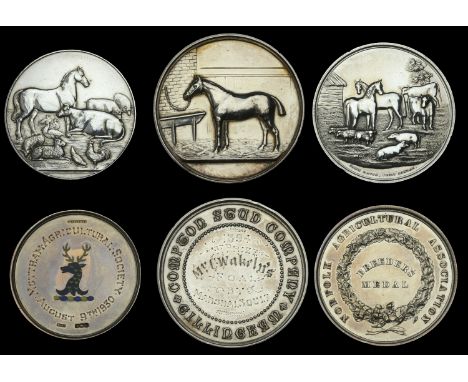 England, Compton Stud Co, Gillingham, a silver award medal by J.A. Restall, named (1894 1st Prize, Mr C. Wakely’s Foal by Mar