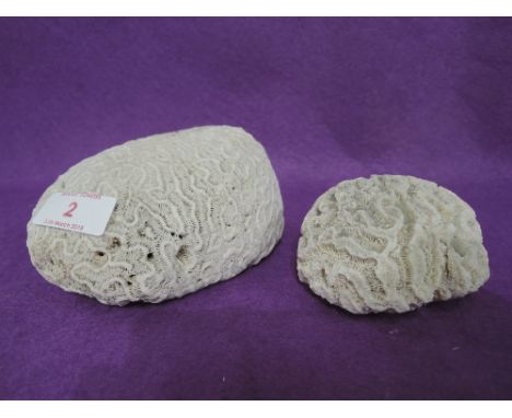 Two vintage coral decorations15cm wide x 10cm high x 5.5cm deep and 5 x 5 4.5 cm