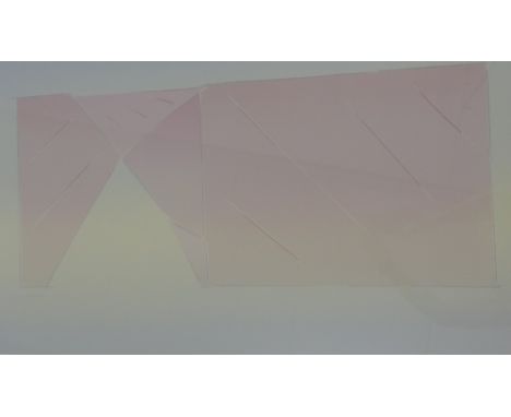 John Taylor  'Flap' Coloured screen print No. 11/15, signed in pencil, in a glazed frame, 105 x 76