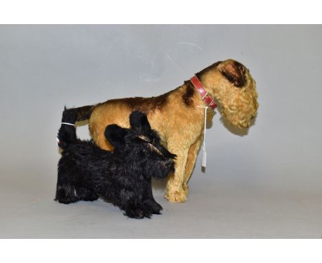 'MAX' A LARGE STEIFF FOX TERRIER, appears complete but has some fading, fur loss and wear, 1950's and later era Steiff button