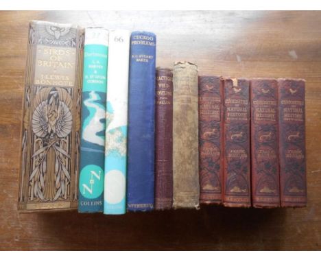 NATURAL HISTORY   BUCKLAND, F.T.  Curiosities of Natural History  4 vols. plus 6 others
