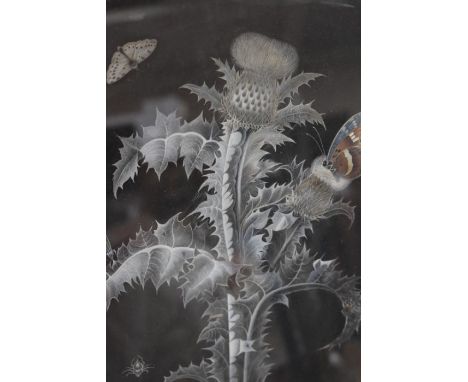 Scottish interest; two mid 19th Century watercolours of thistles, pencil colour of a terrier and a print of Irongate, Derby