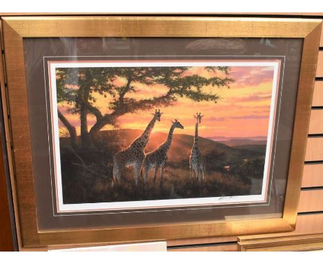 Michael Sieve framed limited edition signed print number 782/950 entitled Sand River Sunrise - Giraffes&nbsp;