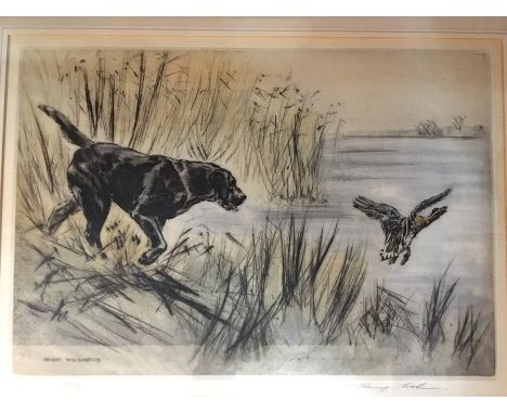 Wilkinson, Henry (1921-2011), two coloured dry point etchings, one of a black Labrador closing in on a duck by a lakeside, nu
