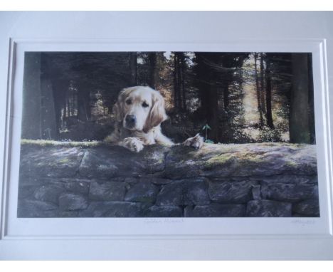 Mandie Haywood 'Golden Moment' limited numbered (82/395) print, hand signed, framed and glazed 60cm x 82cm approx&nbsp;