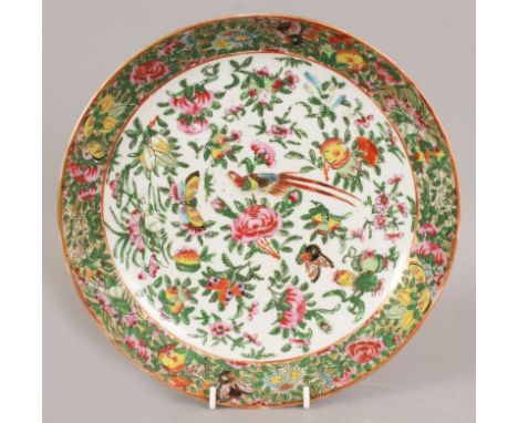 A 19TH CENTURY CHINESE CANTON FAMILLE ROSE PORCELAIN SAUCER DISH, painted with an exotic bird, butterflies, fruit and floral 