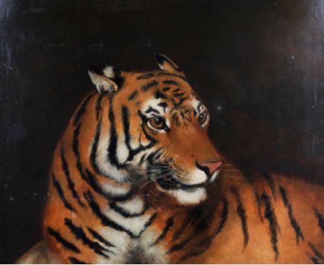 A 20th century oil on canvas, 'Portrait of a tiger'. Unsigned, 61cm x 74.5cm, framed