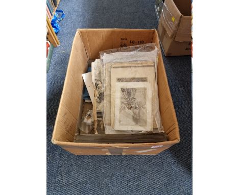 RACKHAM (Arthur):&nbsp;a bundle of loose plates from various works by Arthur Rackham, Pogany and similar: together with a box
