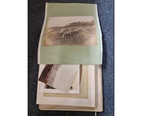 19TH CENTURY PHOTOGRAPHY:&nbsp;bundle of 19th century photography, approx 53 items, largely albumen-print topographical views