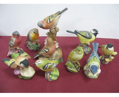 A Collection of Nine Royal Worcester Unglazed Porcelain Models of Birds, to include; Great Tit, Chaffinch, Robin, Wood Warble