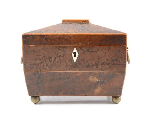 Regency yew wood sarcophagus tea caddy, the interior with two lidded compartments, metal ring handles, brass ball feet, 20cm.