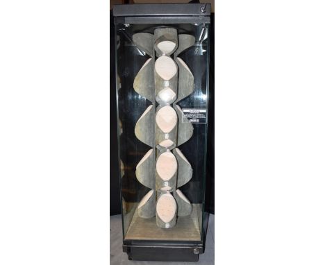 A JEWELLERY RETAILER'S GLAZED METAL REVOLVING RING CABINET  containing sixteen angled, oval pads, each for six rings (total c