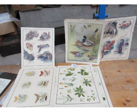  Sale Item:    FOLDER PRINTS   Vat Status:   No Vat   Buyers Premium:  This lot is subject to a Buyers Premium of 15% + Vat @