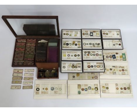 A large collection of prepared glass specimen slides including one cased selection, some as found, twinned with a small set o