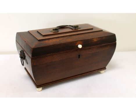 Early 19th century tea caddy of Sarcophagus form with swing and lion mask handles, turned ivory knop and feet and fitted inte