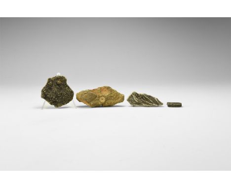 Carboniferous Period, 359-299 million years BP. A group of four crinoid specimens comprising two with crinoid arms, one round