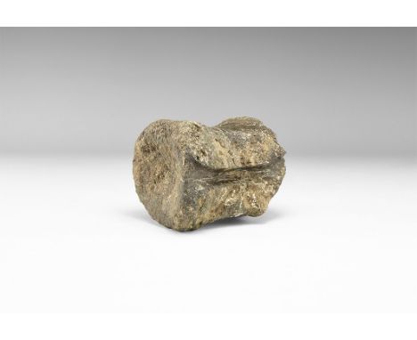 Lower Cretaceous Period, 120 million years BP. An iguanodon tail vertebra from the Wealden Clay, Isle of Wight, U.K.   600 gr