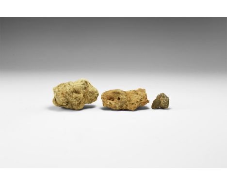 Jurassic Period, 200-145 million years BP. A group of two fossil corals from Wales, in old white card trays with A.B. Cotteri