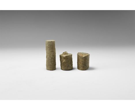 Carboniferous Period 359-299 million years BP. A group of three large diameter (up to 33mm) crinoid stems, in white card tray