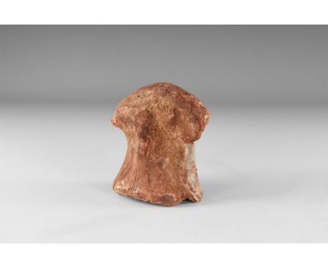 Cretaceous Period, 145-65 million years BP. A Rebbachisaurus sp. dinosaur vertebra.   239 grams, 90mm (3 1/2"). From the Kem 