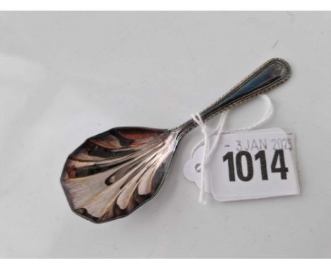 A caddy spoon with shell shaped bowl, Sheffield 1971