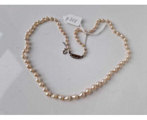 A row of pearls with gold and diamond clasp 19 inch