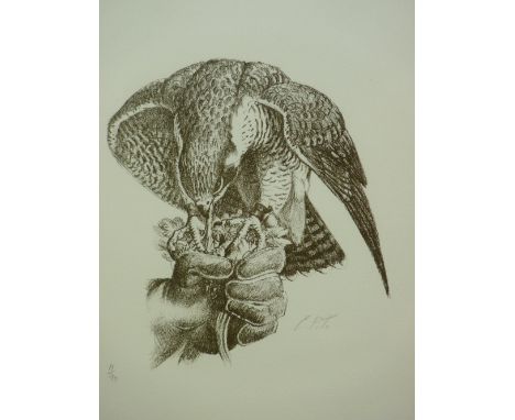 CHARLES FREDERICK TUNNICLIFFE limited edition (11/90) print - raptor taking prey out of a hand, signed with initials, 30 x 22