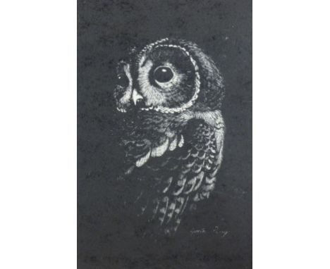 GARETH PARRY woodblock print - an alert owl, 23.5 x 15.5 cms