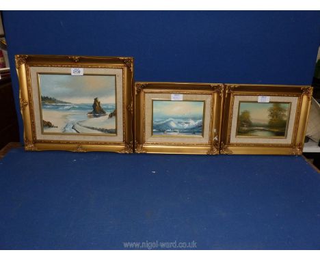 Three small framed Oil paintings to include Pond with cottage, Seascape (both signed Martha) and a Coastal scene, signed Ande