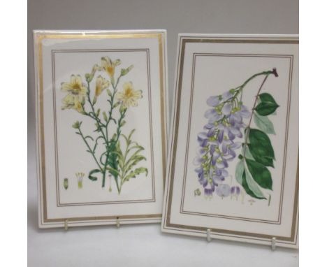A group of four pairs of Royal Worcester porcelain botanical plaques  