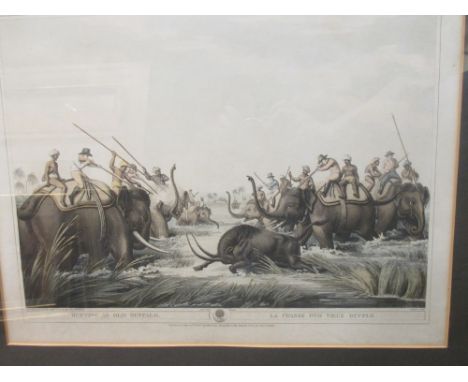 After Alken Hunting in India engravings, a matched set of 7  