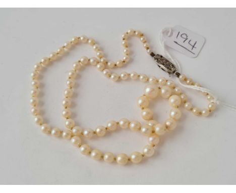 A pearl necklace