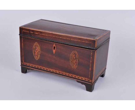 A George III mahogany twin compatrment tea caddy with chevron stringing and bird paterae on bracket feet