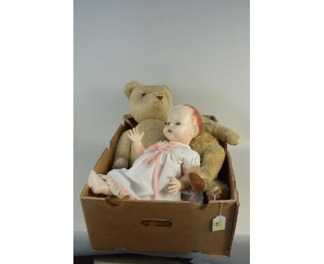 A large sized vintage Teddy with glass eyes, jointed limbs and neck with a small hump to back and felt pads, 71cm long (age r