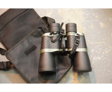 Pair of P&amp;O Cruises binoculars. P&amp;P Group 1 (£14+VAT for the first lot and £1+VAT for subsequent lots) 