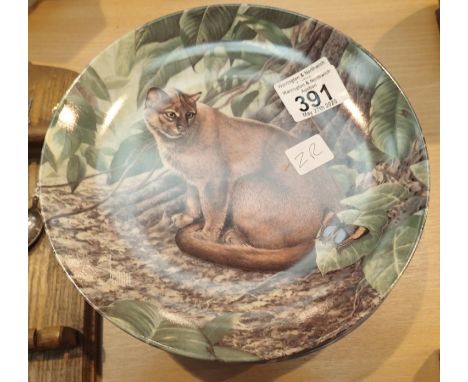 Eight decorative china wall plates of great cats of America by Edwin knowles, boxed with certificates. P&amp;P Group 1 (£14+V