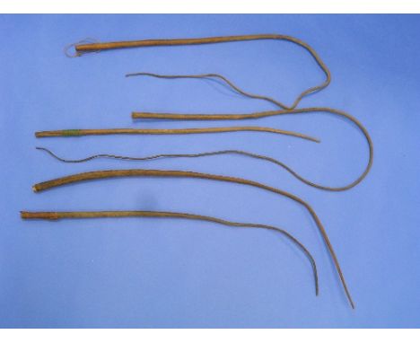 Tribal Art; A Collection of Five Vintage African hide Cow Whips (5)