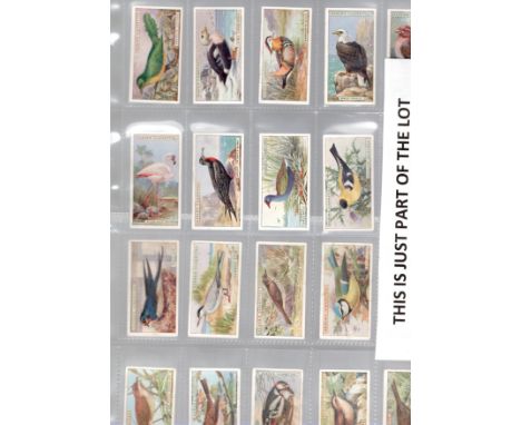  3 sets, Ogdens Foreign Birds, British Birds, Children of all Nations   cat £145                                      R£30