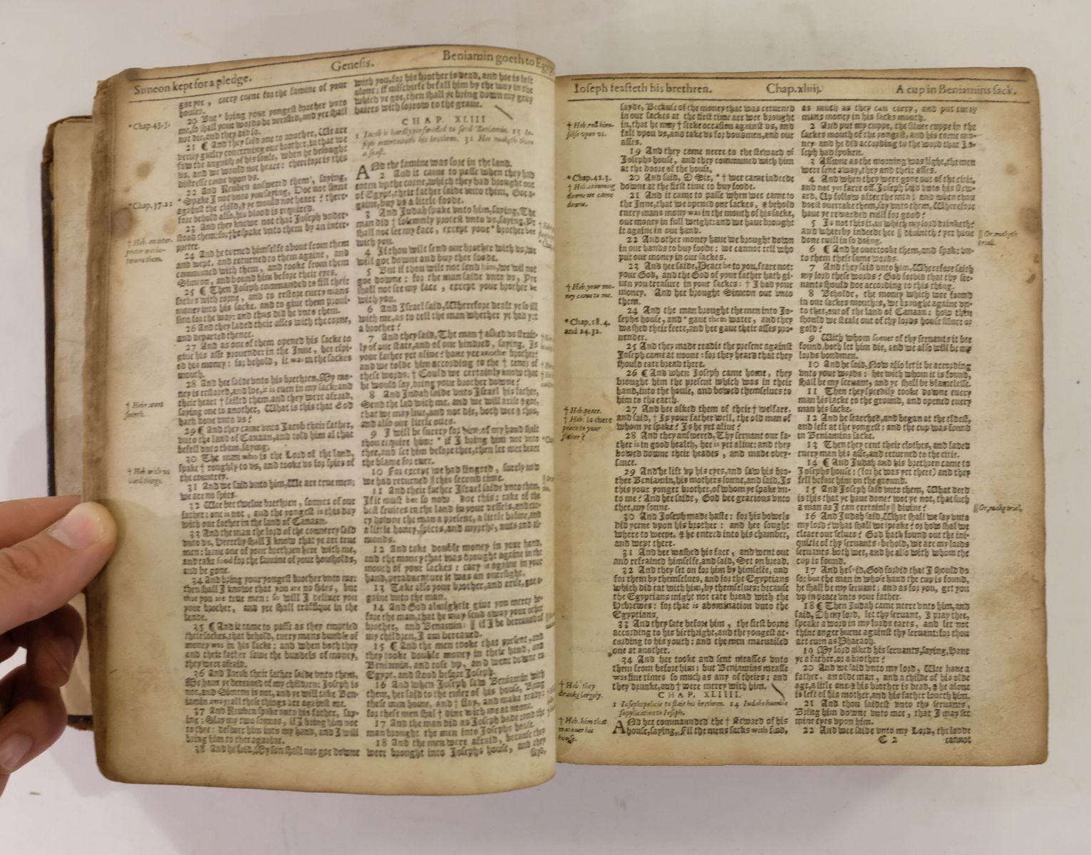 Bible [English]. The Bible: Translated according to the Hebrew and ...