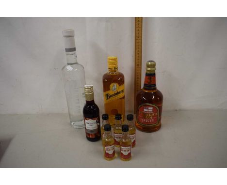 Group of various spirits to include Pussers Rum, New Zealand vodka and others