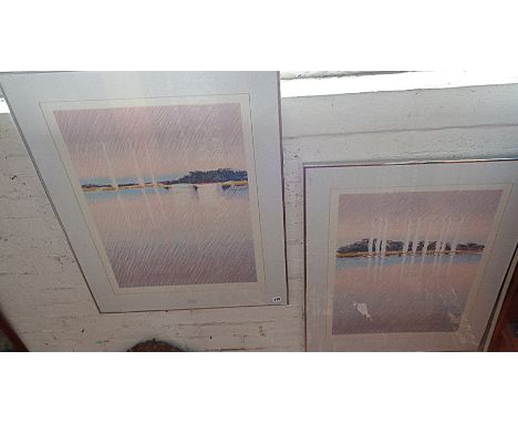 Two silkscreen prints by Roy Fairchild WOODARD (B. 1953-), titled "Shearwater I and II), signed in pencil lower right